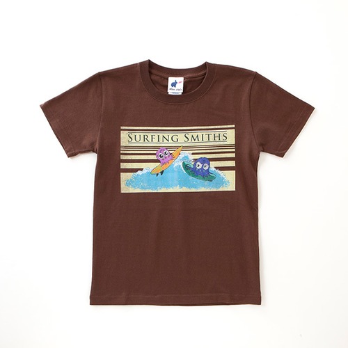 TS-surf-Brw